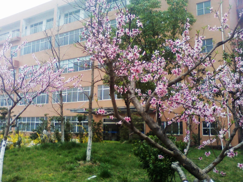 四通科技廠區(qū)景象